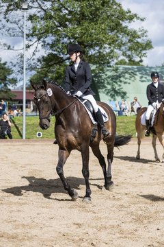 Bild 218 - Pony Akademie Turnier